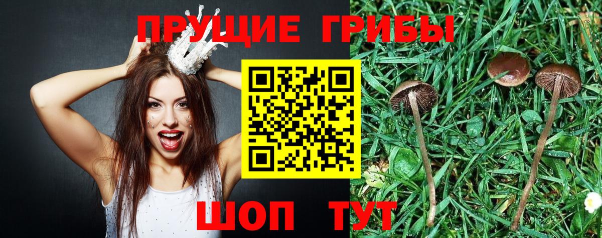 Коркино  Галлюциногенные грибы Magic Shrooms  Вход с VPN  Галлюциногенные грибы GOLDEN TEACHER 